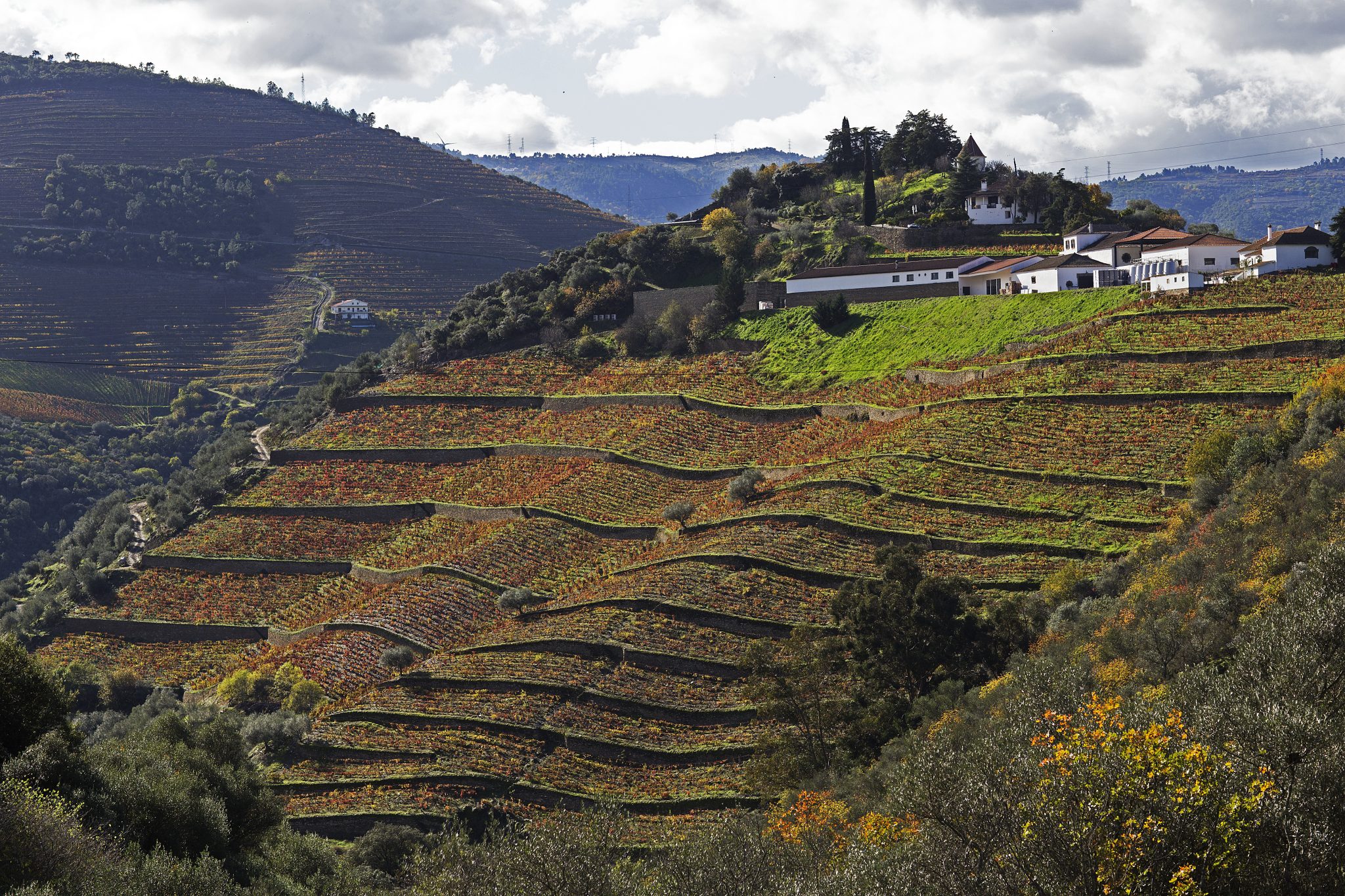 Quinta do Crasto