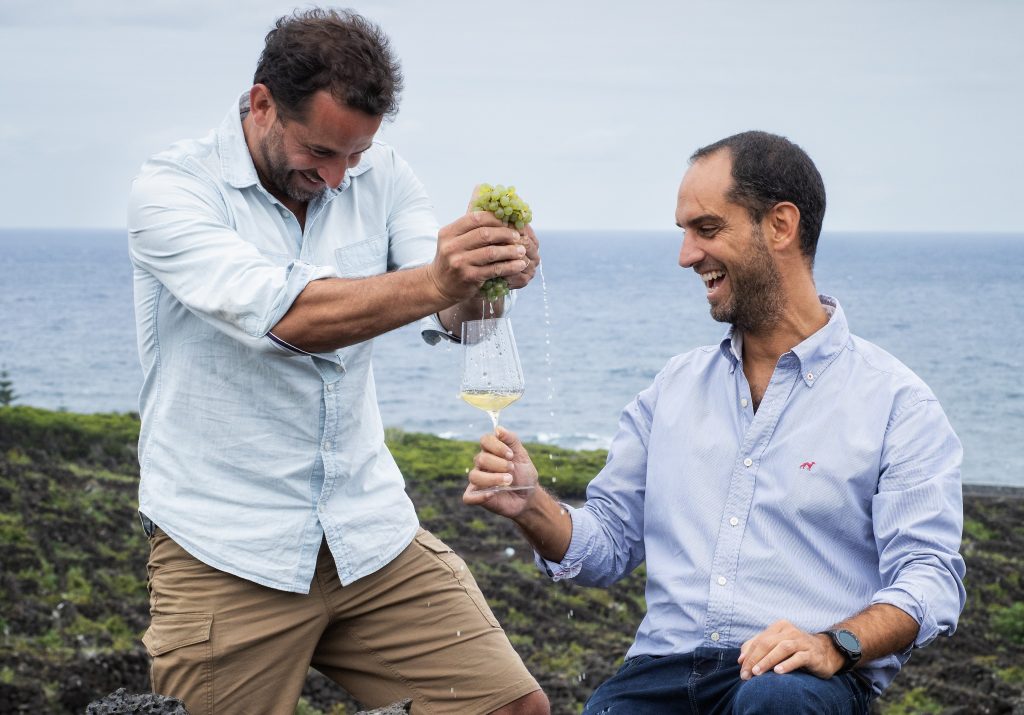 Azores Wine Company