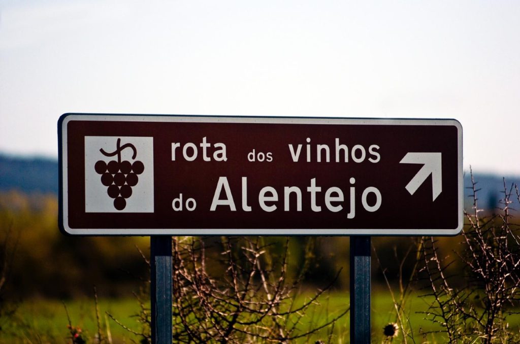 Entre os diferentes programas vínicos destacam-se as visitas guiadas às vinhas, às adegas e às caves, as provas de vinhos, os workshops e cursos vínicos, as sessões de vinoterapia, os passeios a pé, de bicicleta e, até, a cavalo pelas vinhas.