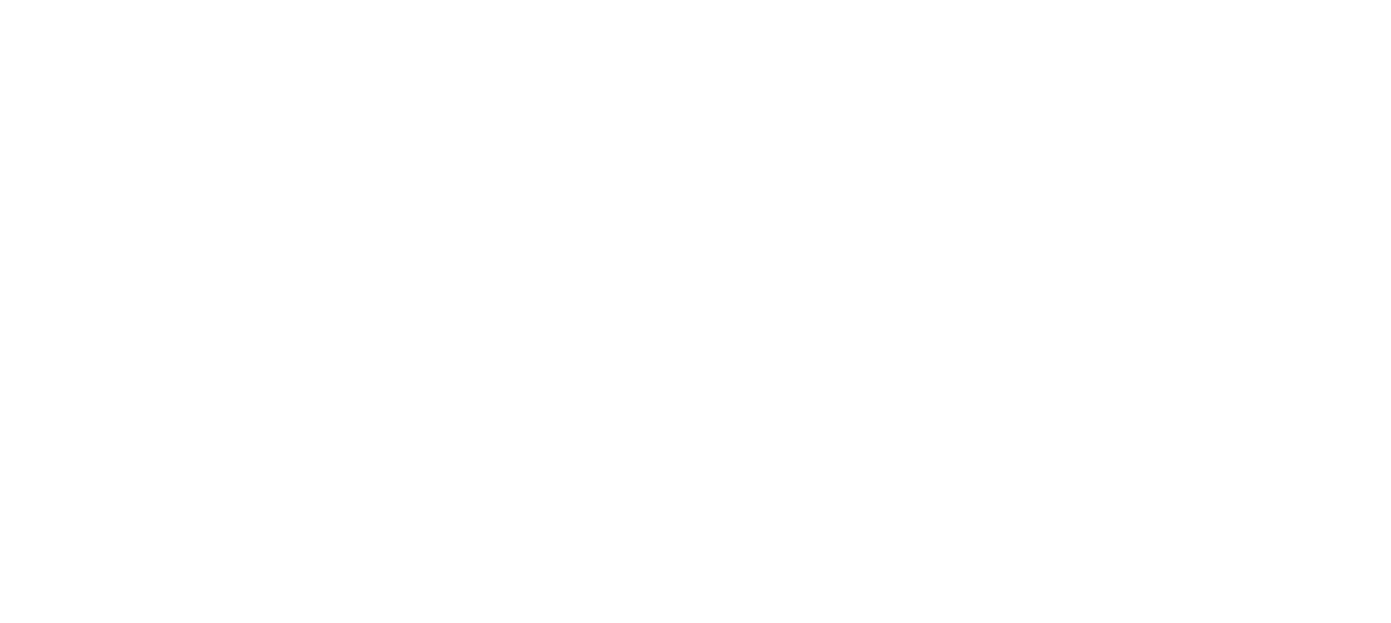 V&S_Logo_branco