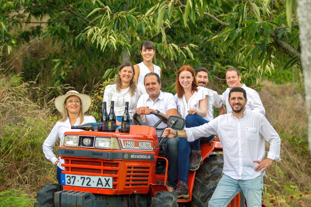 Barcos Wines