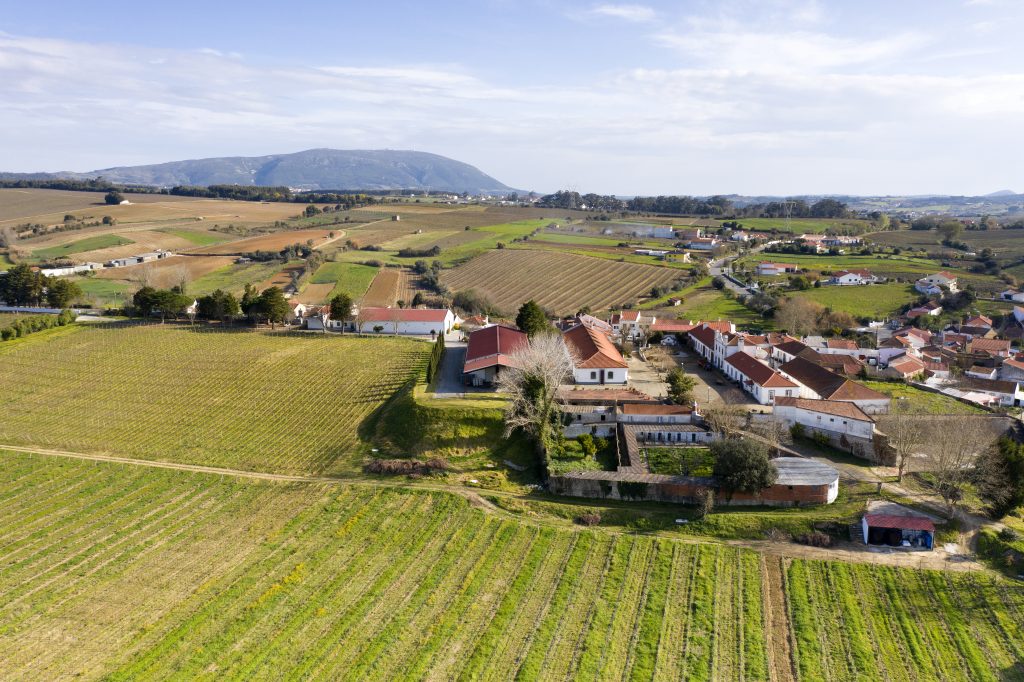 Monte d’Oiro