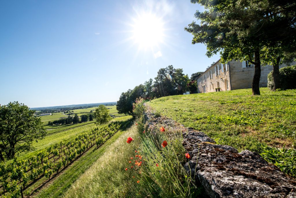 Haut-Brion