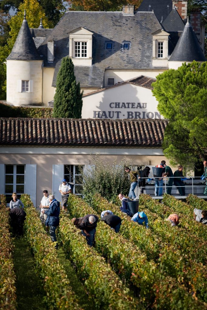 Haut-Brion