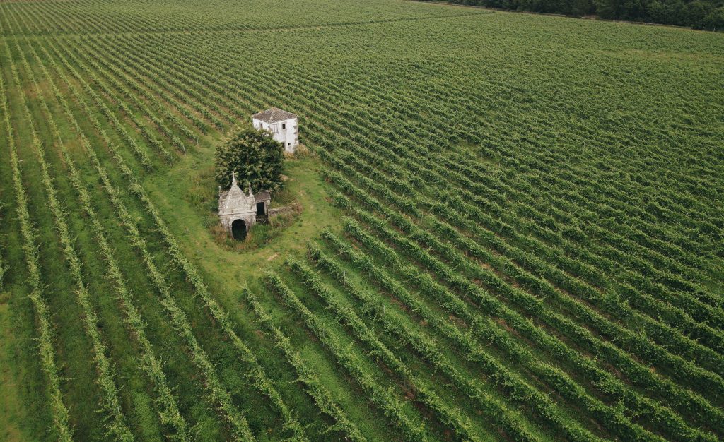 Granvinhos