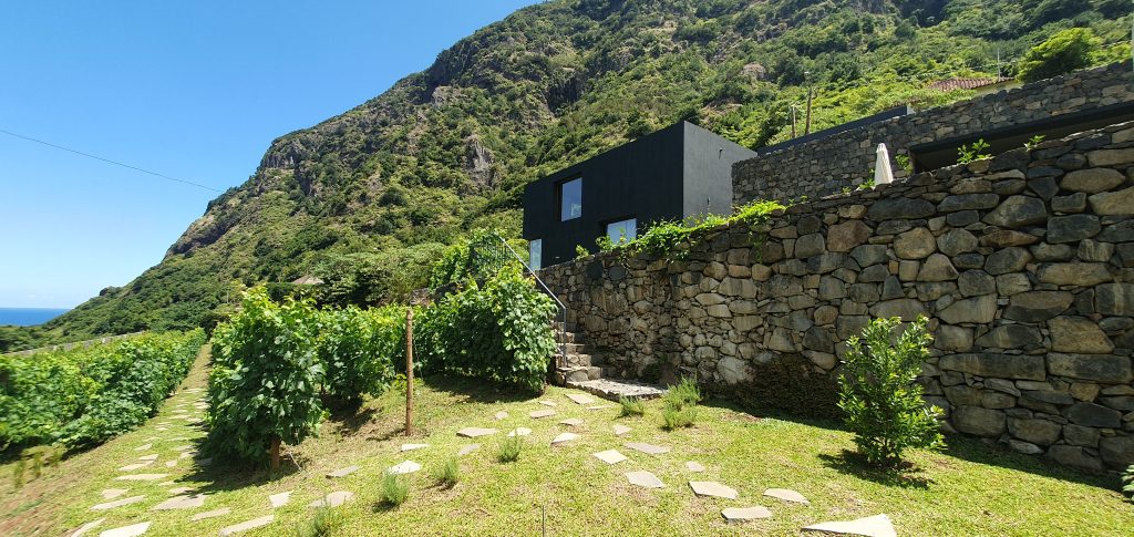 madeira
