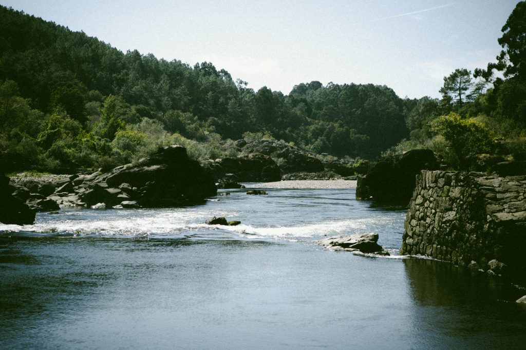 Vinevinu