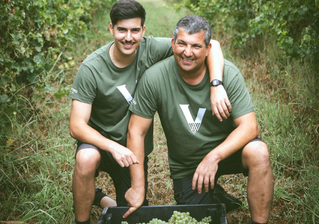 Vinevinu