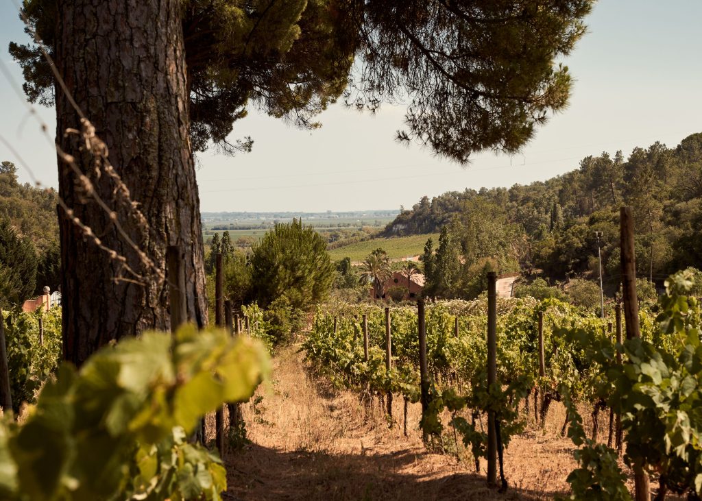 Ode Winerie
