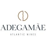 29-adegamae