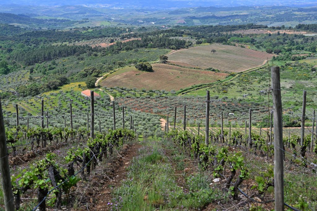 Valle Pradinhos