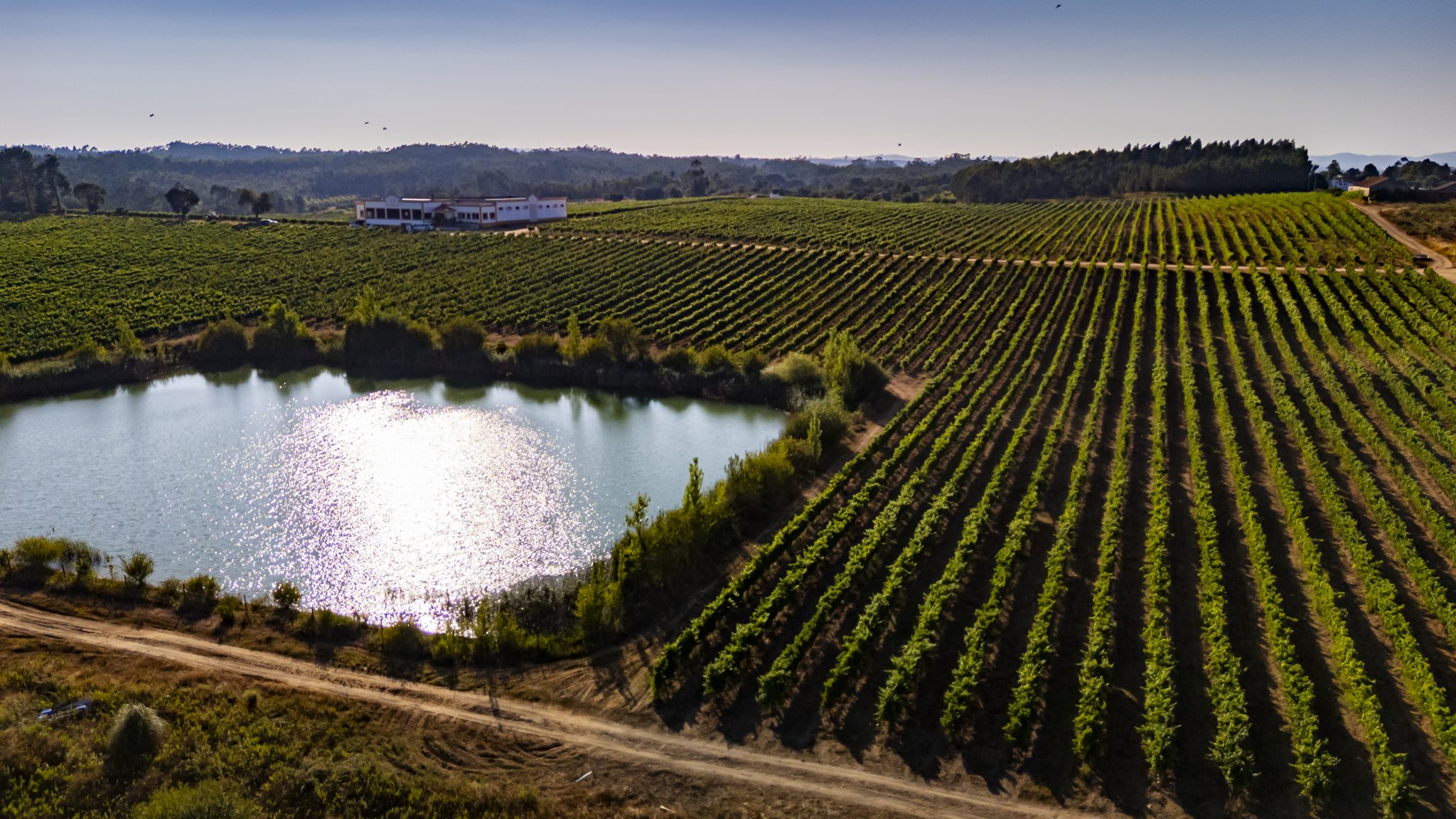 QUINTA DA BADULA