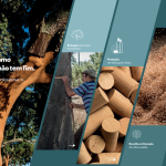 AMORIM CORK