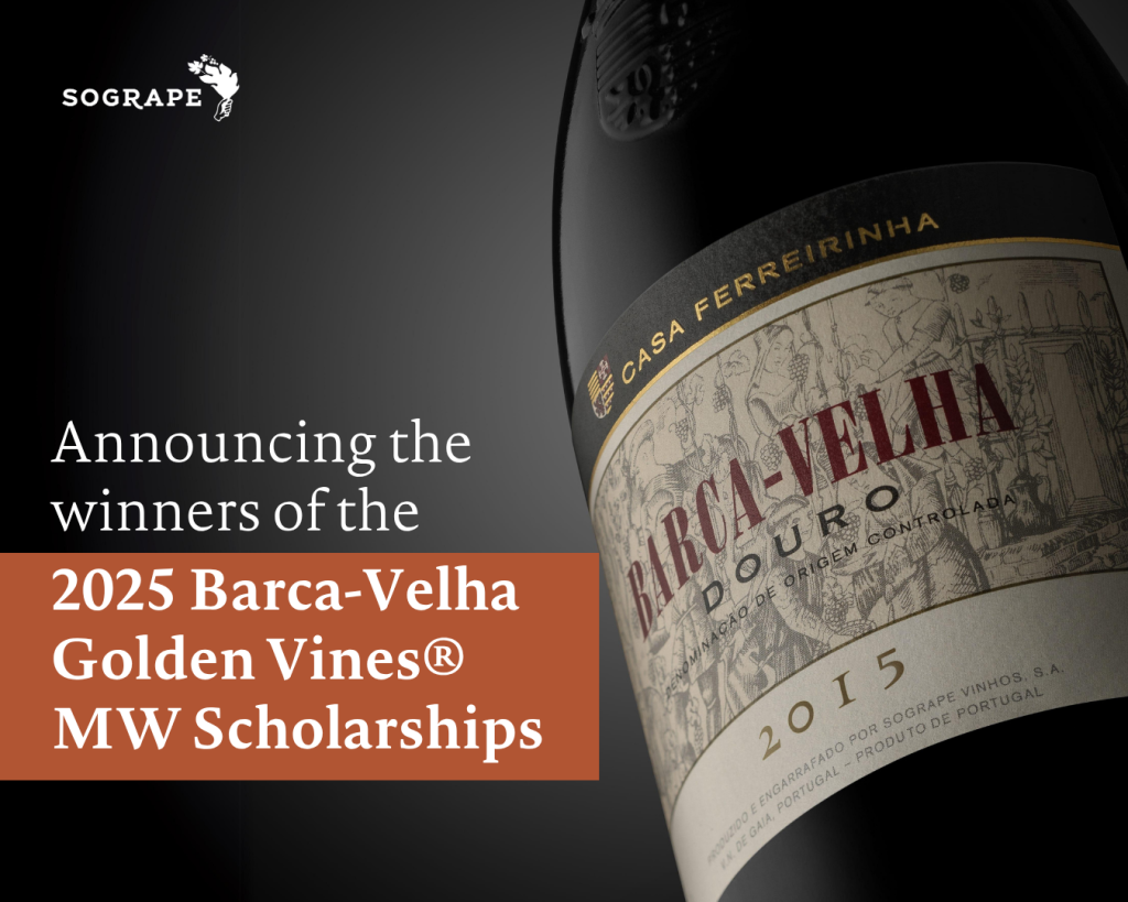Barca Velha