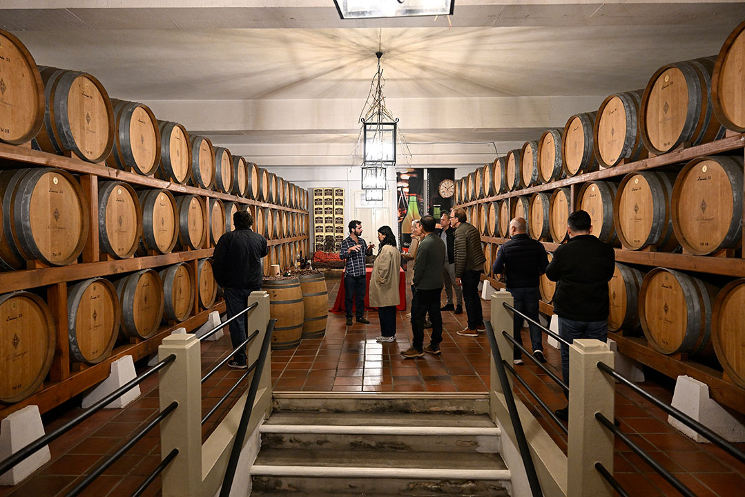 wine-tour-2025-caves-sao-domingos-0004