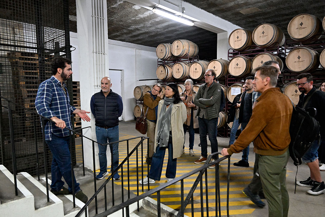 wine-tour-2025-caves-sao-domingos-0025