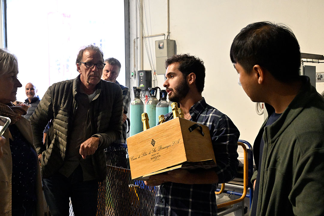 wine-tour-2025-caves-sao-domingos-0038