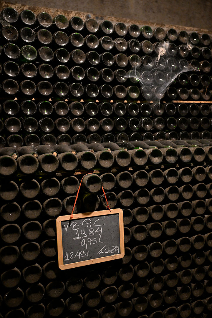 wine-tour-2025-caves-sao-joao-0024