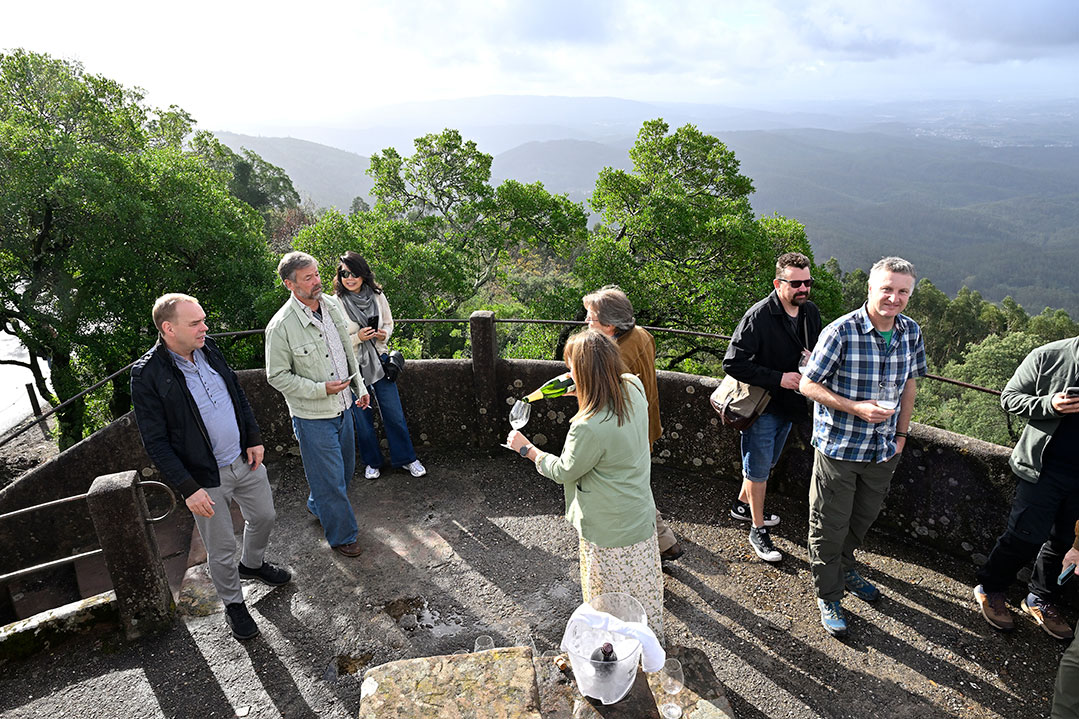 wine-tour-2025-cruz-alta-bucaco-0015