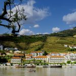 Fladgate Partnership