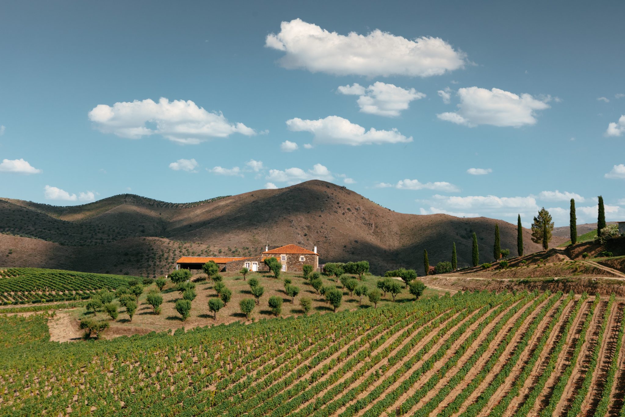 Duas Quintas