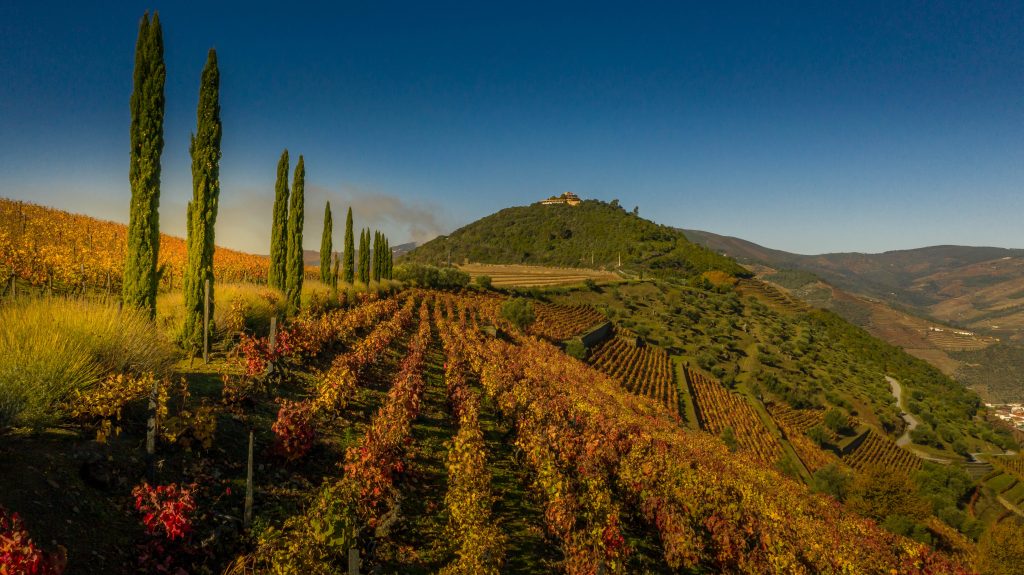 Real Companhia Velha