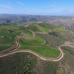 Sobre a Aguardente do Douro no Vinho do Porto