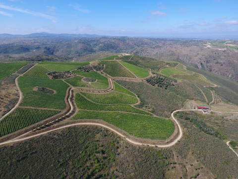douro