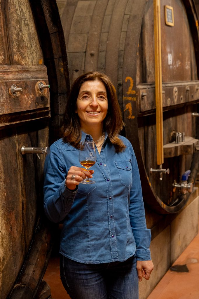 QUEVEDO WINES