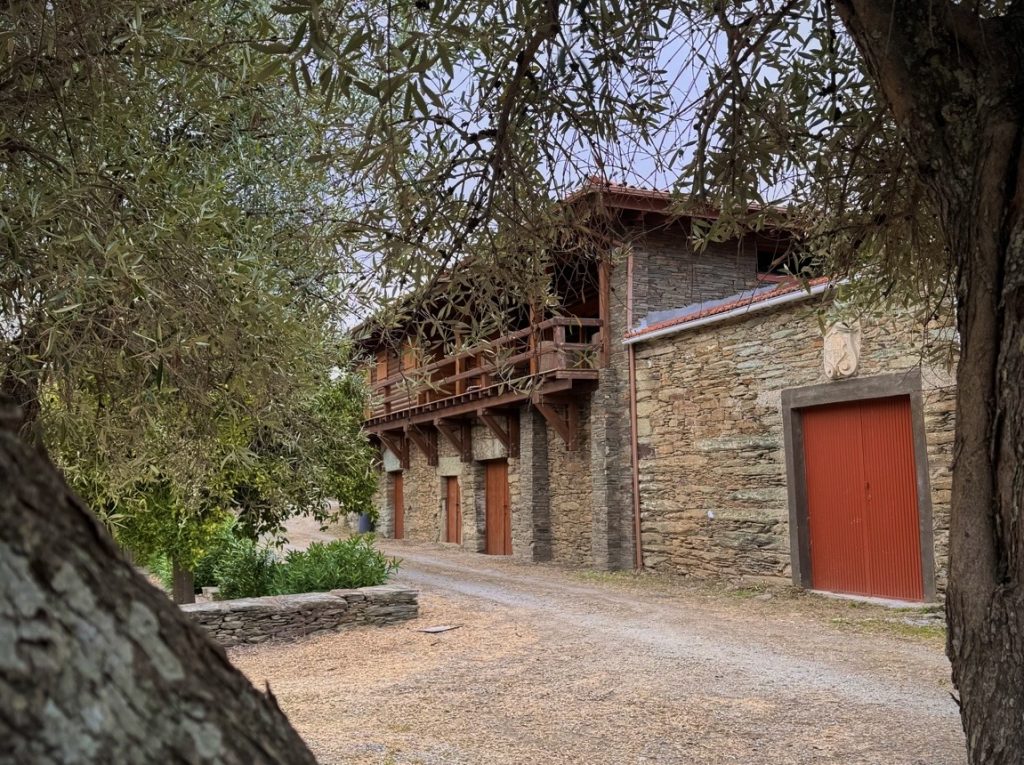 olivoturismo