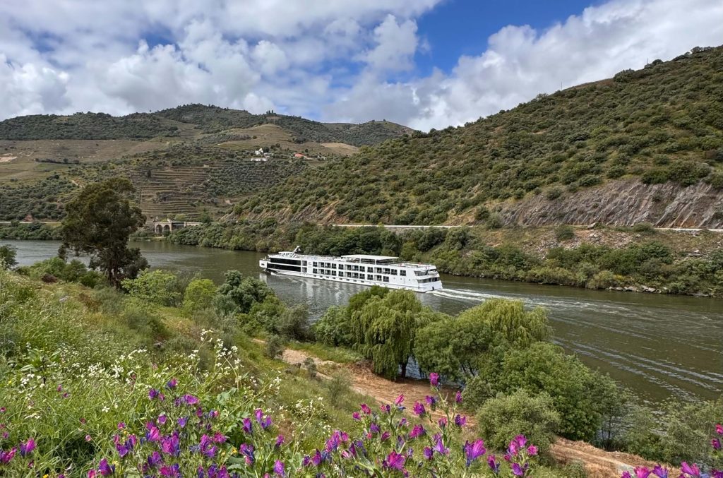 olivoturismo
