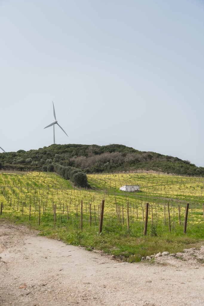 Quinta de São Sebastião