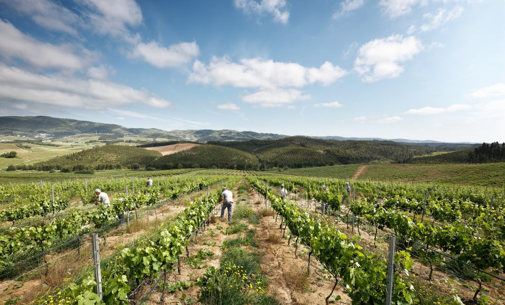 Quinta do Gradil