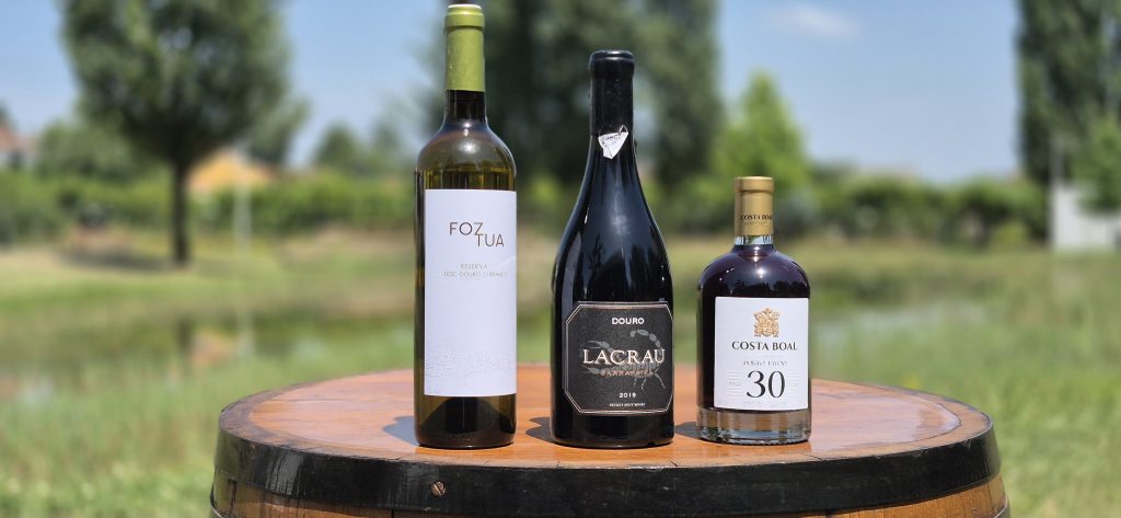 Concurso de vinhos