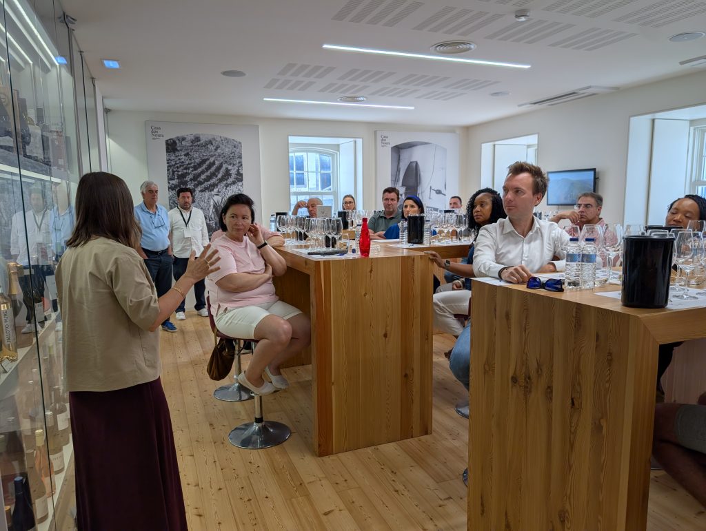 Concurso de vinhos