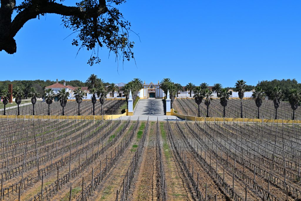 Quinta do Carmo