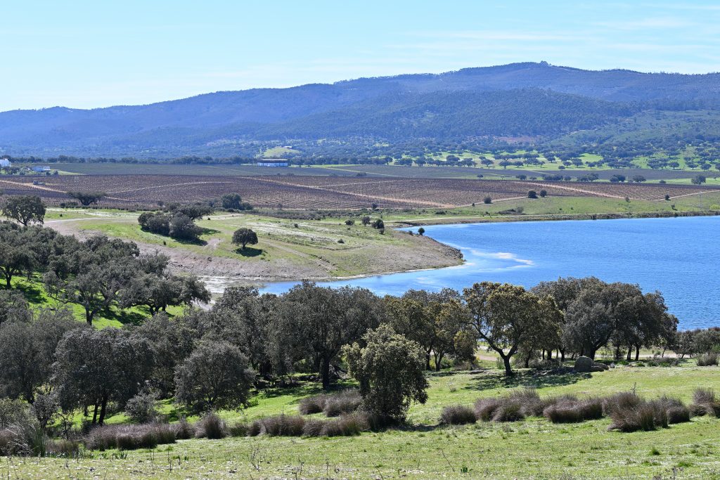 Quinta do Carmo