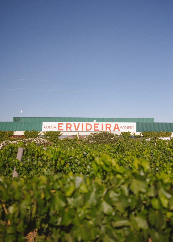 Ervideira