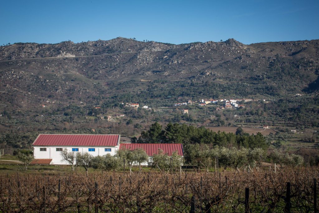 Ethos Wines