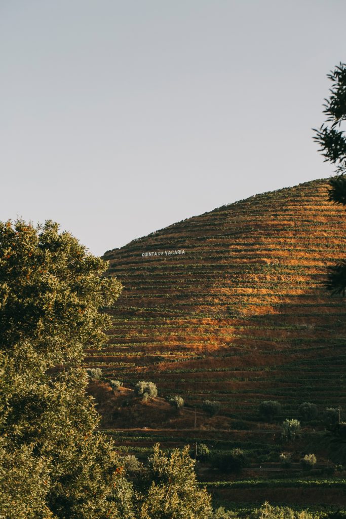 Quinta da Vacaria