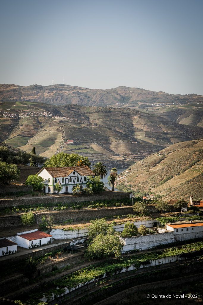 Quinta do Noval