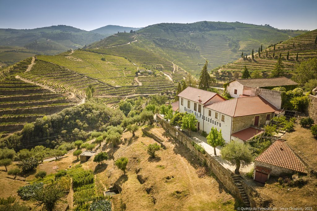 Quinta do Noval