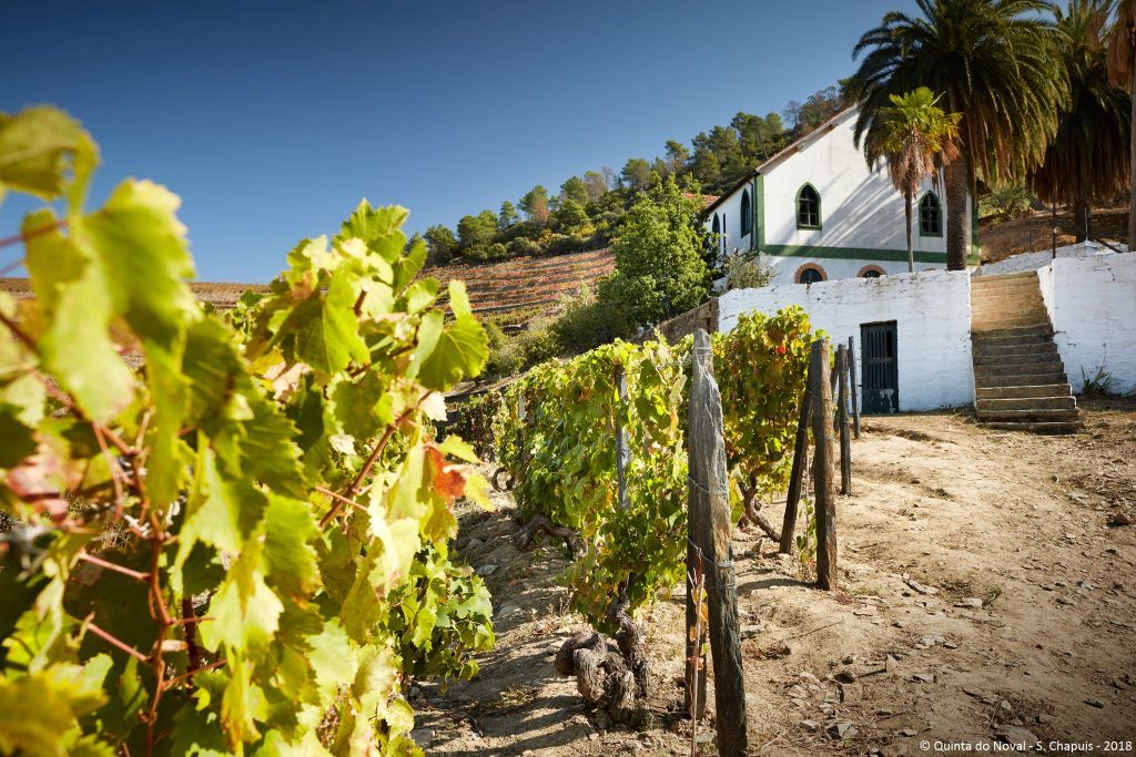 Quinta do Noval