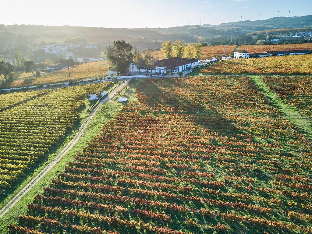 QUINTA DO PINTO
