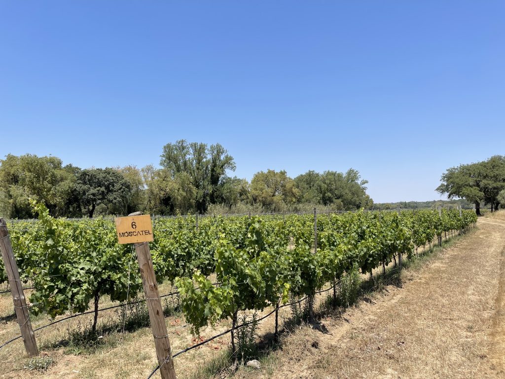 Quinta dos Arcos