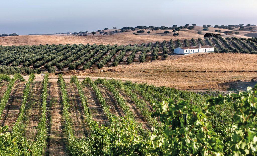 alentejo