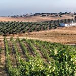 alentejo