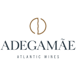 39-adegamae