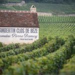 Roederer Collection