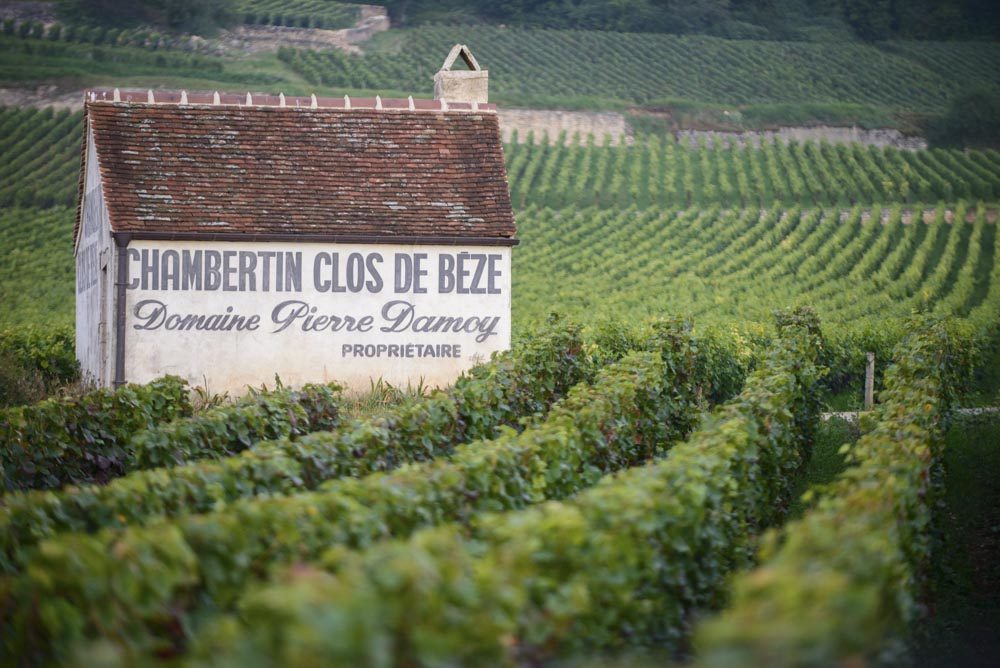 Roederer Collection